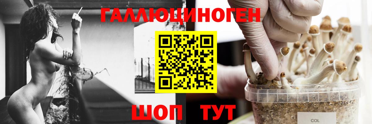 Псилоцибиновые грибы Cubensis  Вход с VPN  Жигулёвск  Псилоцибиновые грибы Magic Shrooms 
